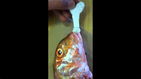 The bizarre clip, which was shot in Romania, has been shared hundreds of thousands of times. . Fish blow jobs